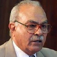 د. محمد عمارة