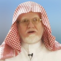 د. محمد السعيدي