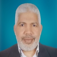 د. محمد السيد عبد الباسط